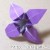 Origami: How to fold an Iris