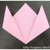 Origami: How to fold a Tulip