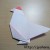 Origami: How to fold a Chicken