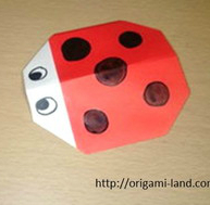 ladybug
